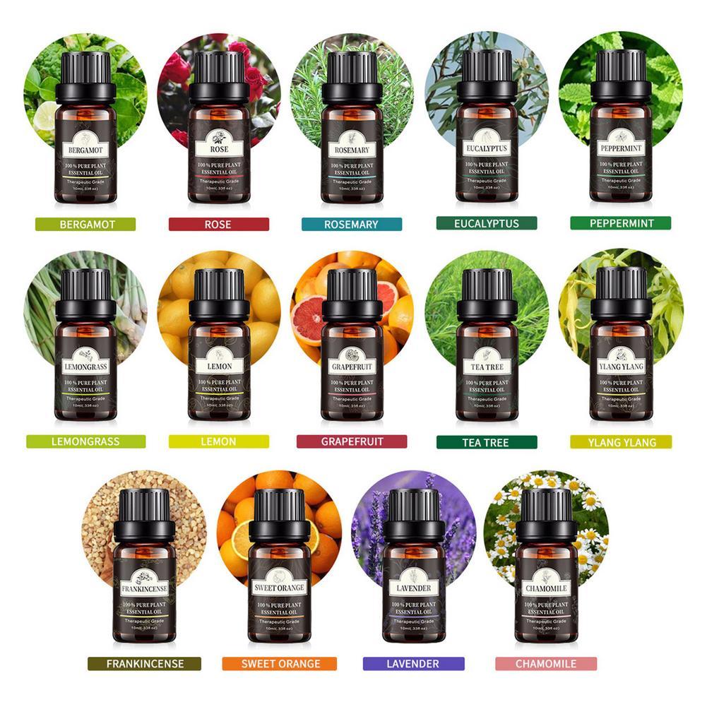 Single Essential Oil Set 10ml Single Essential Oil Plant Aroma Tea Tree Single Essential Oil Set 10ml Single Essential Oil Plant Aroma Tea Tree